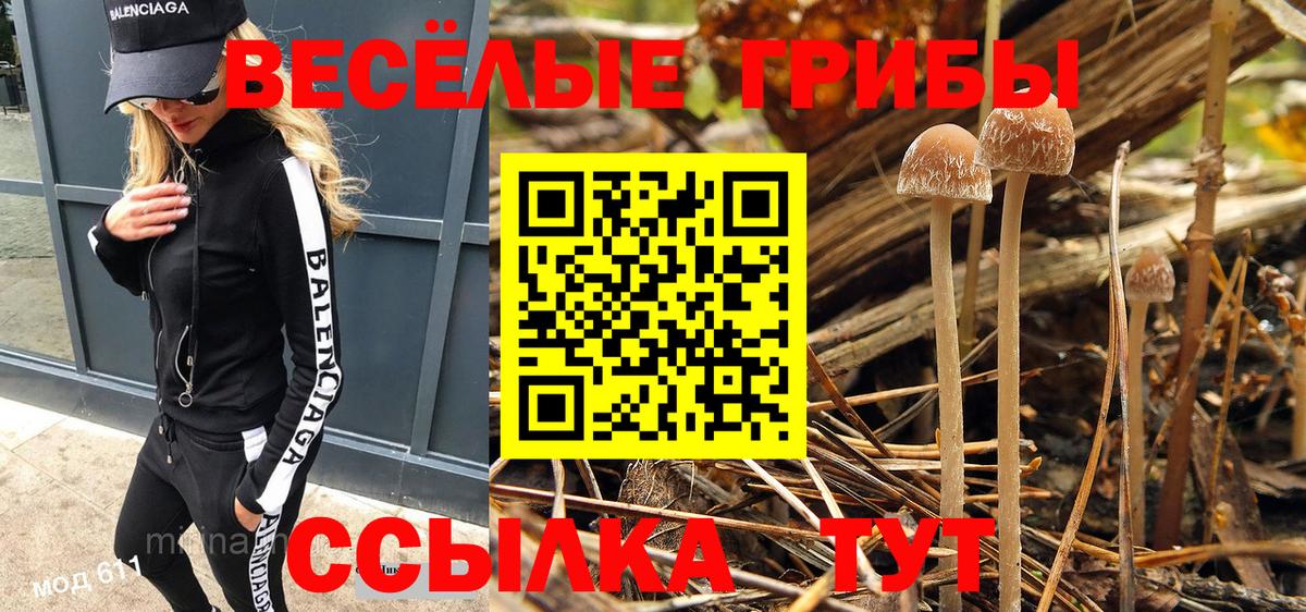 Галлюциногенные грибы Cubensis Энгельс