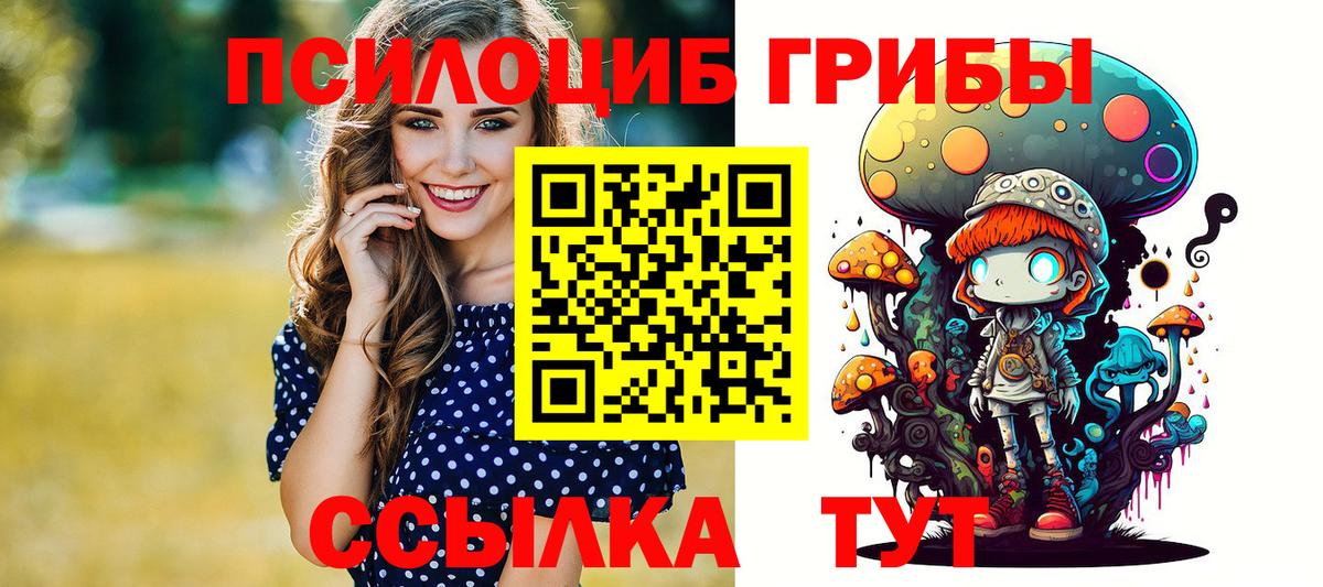 Псилоцибиновые грибы Cubensis  Вход с VPN  Энгельс 